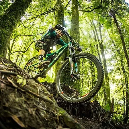 Casa vacanze Vakantiebungalow